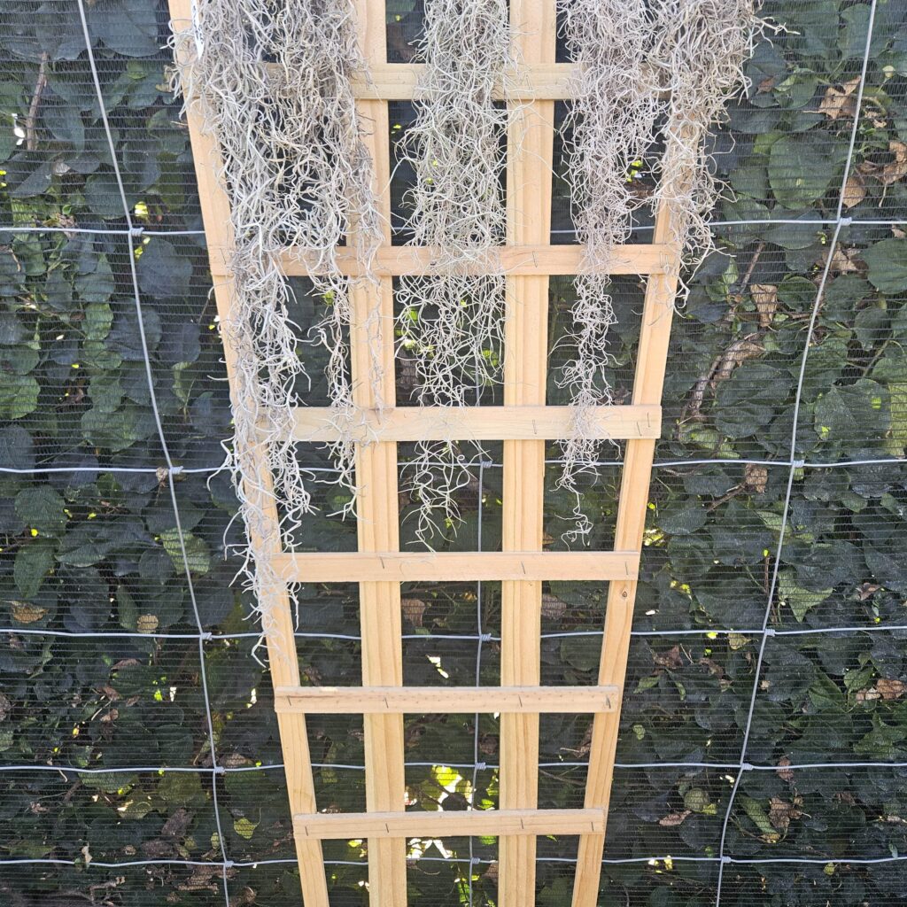 Brackenfell Nursery