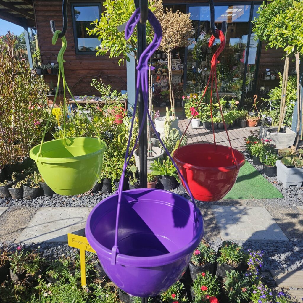Brackenfell Nursery