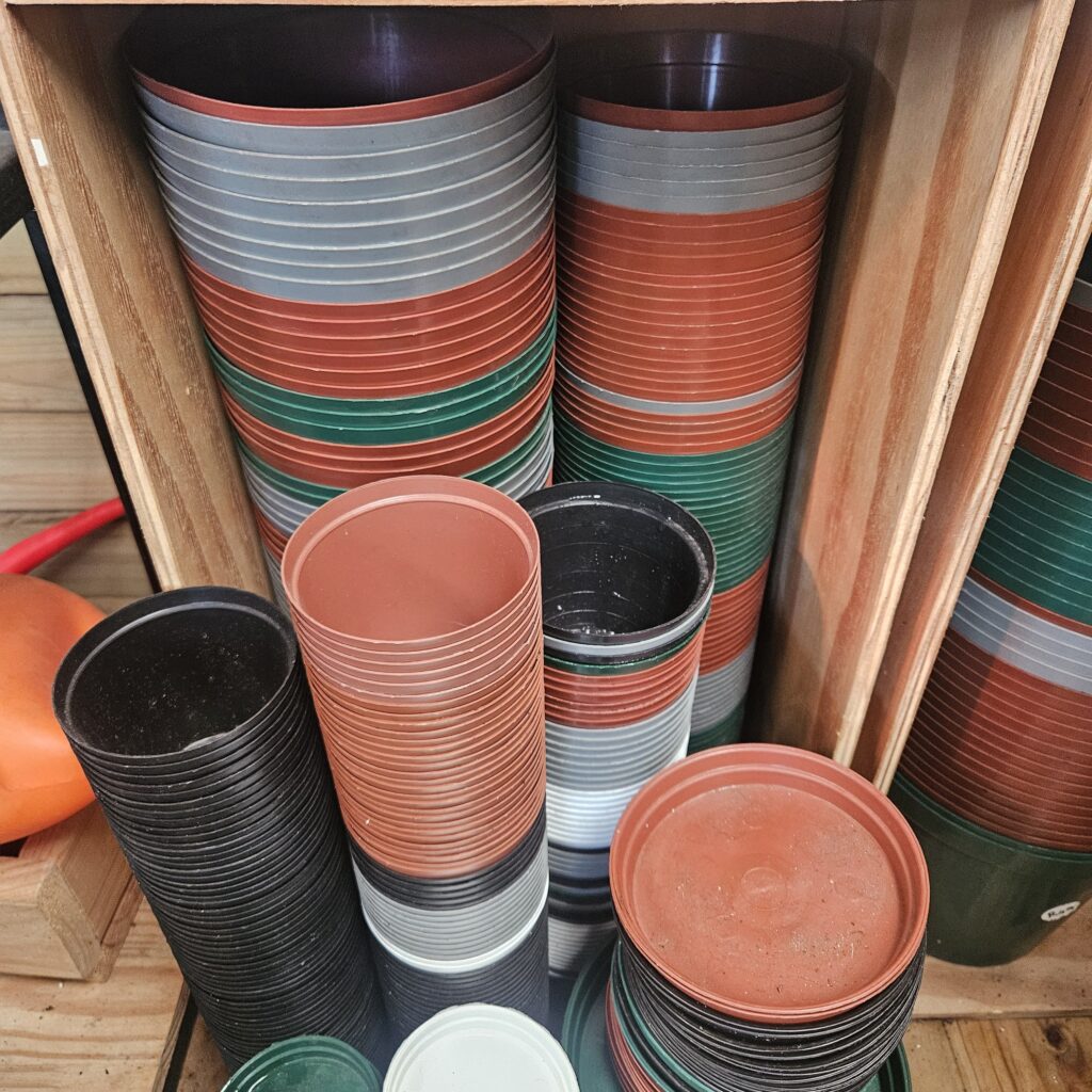 Brackenfell Nursery
