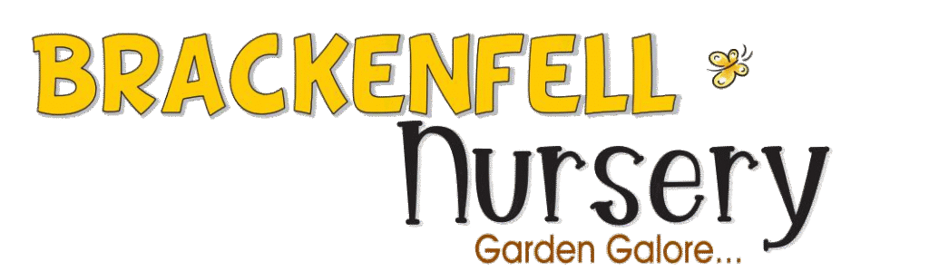 Brackenfell Nursery
