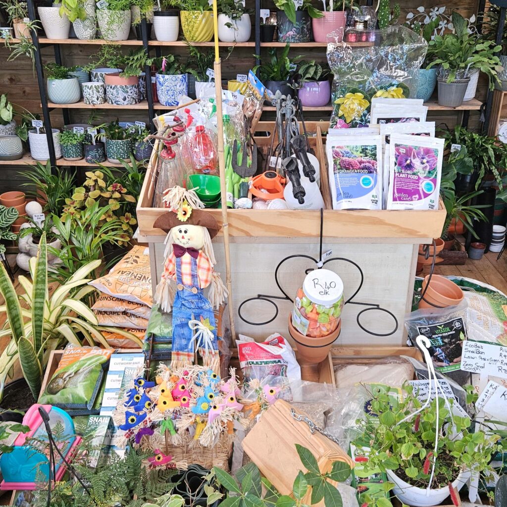 Brackenfell Nursery