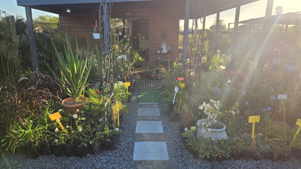 Brackenfell Nursery