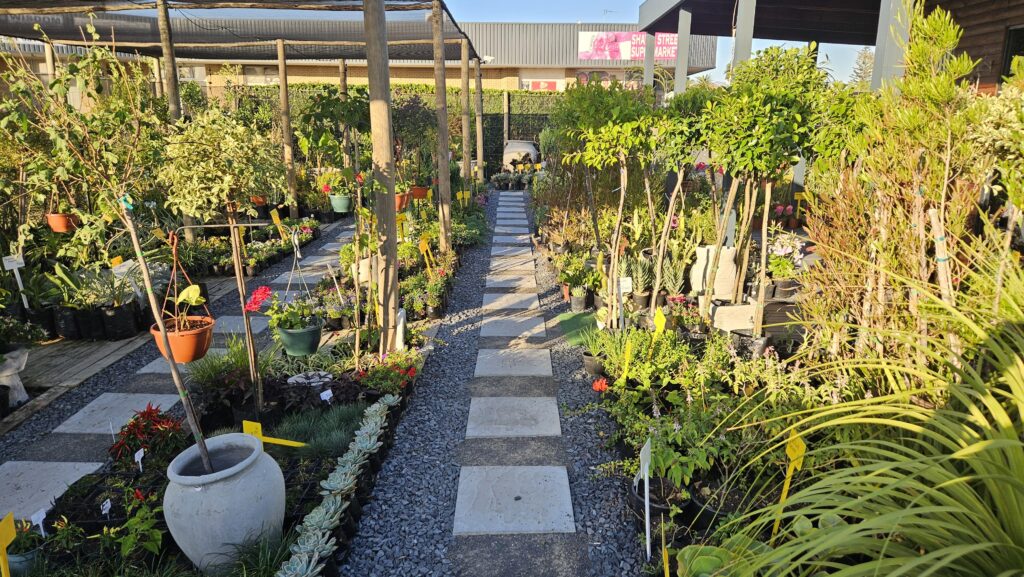 Brackenfell Nursery