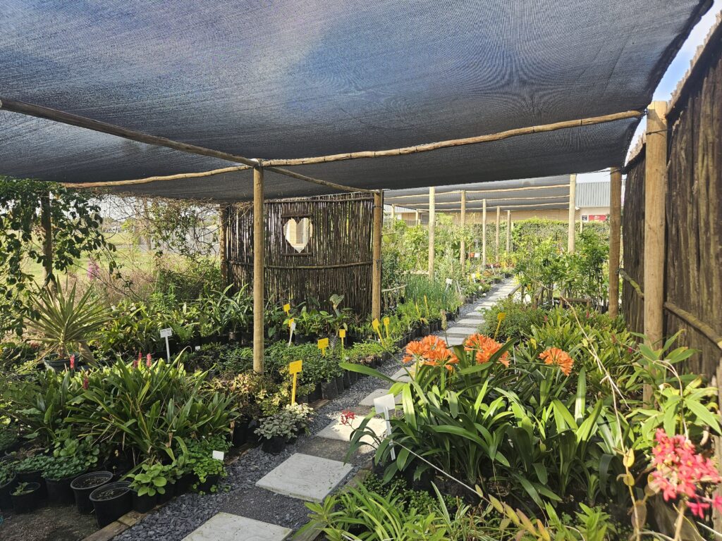 Brackenfell Nursery