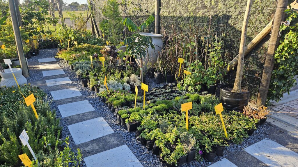 Brackenfell Nursery