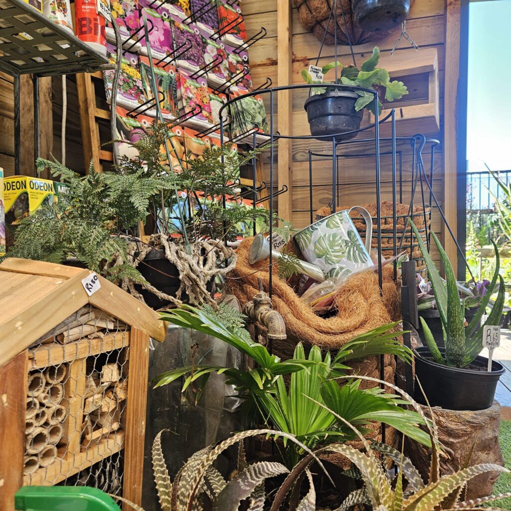 Brackenfell Nursery