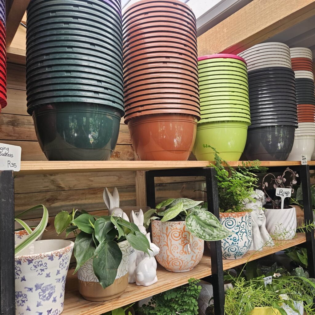 Brackenfell Nursery
